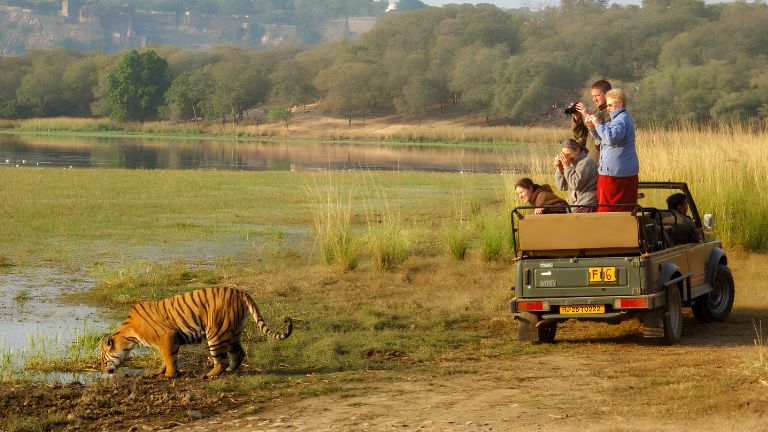 sariska-tiger-reserve